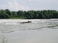 Gabcikovo-DSC_2887